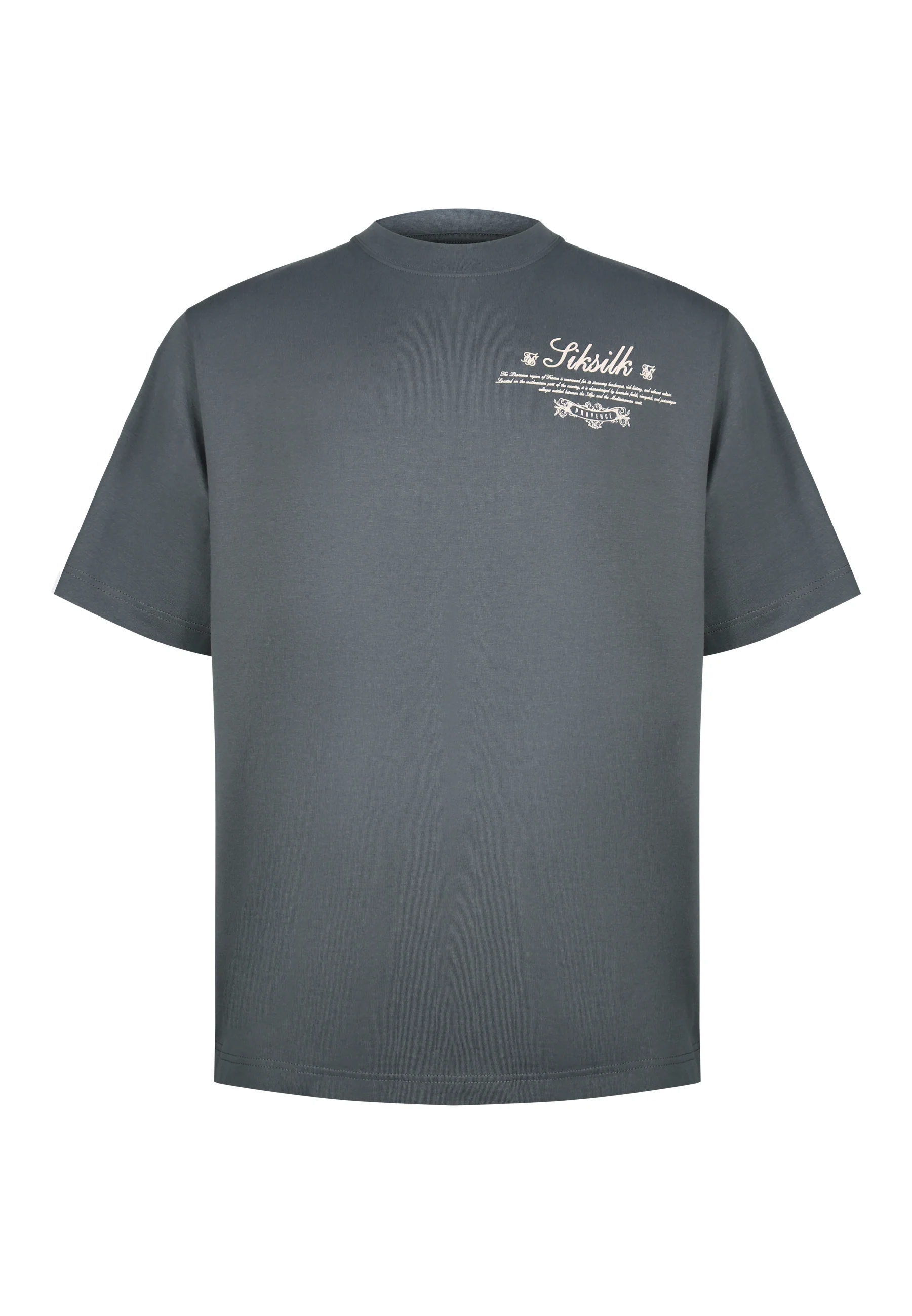 Grey Graphic T-Shirt - Image 6