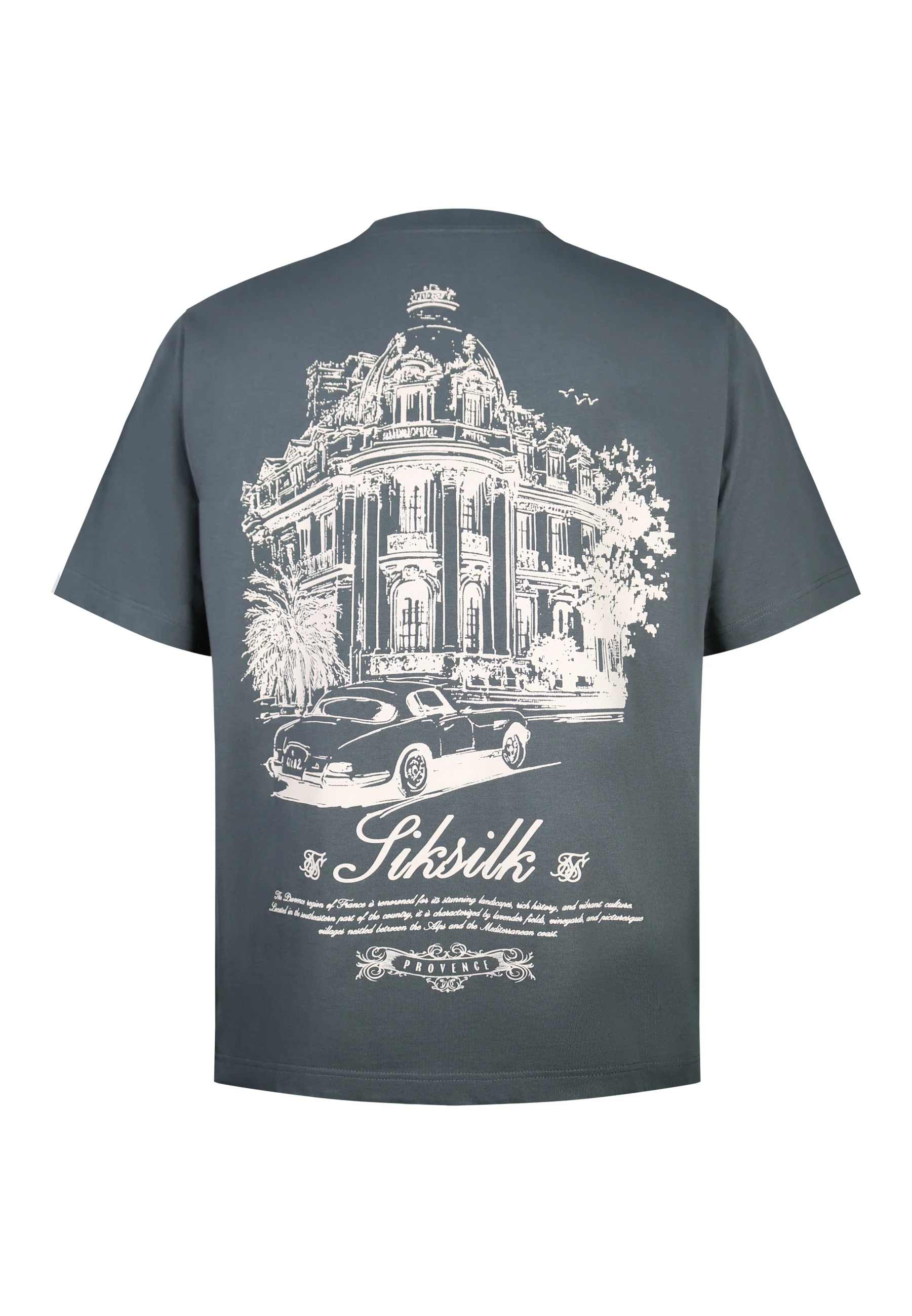 Grey Graphic T-Shirt - Image 7